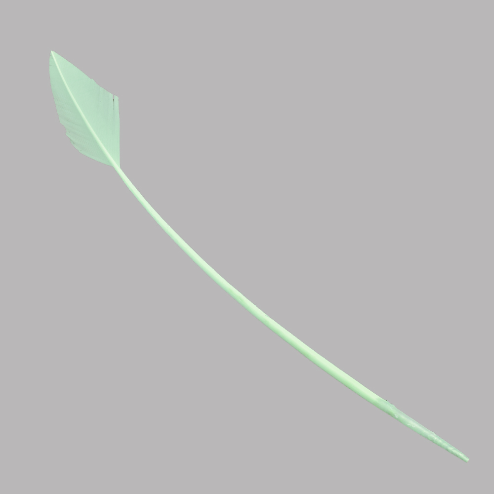 Pavo flecha 30 40 cm verde agua