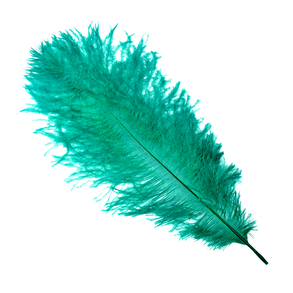 Pluma Avestruz 25 30 cm verde topacio