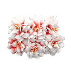 RAMILLETE ANISTON coral