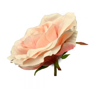 ROSA ABRIL rosa