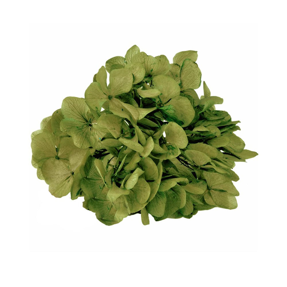 Ramillete Hortensia preservada - Tocados y Abalorios Ramillete Hortensia preservada - Tocados y Abalorios