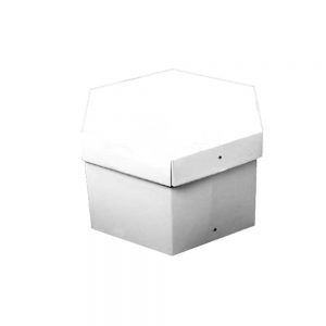 caja blanca 20x12 blanco