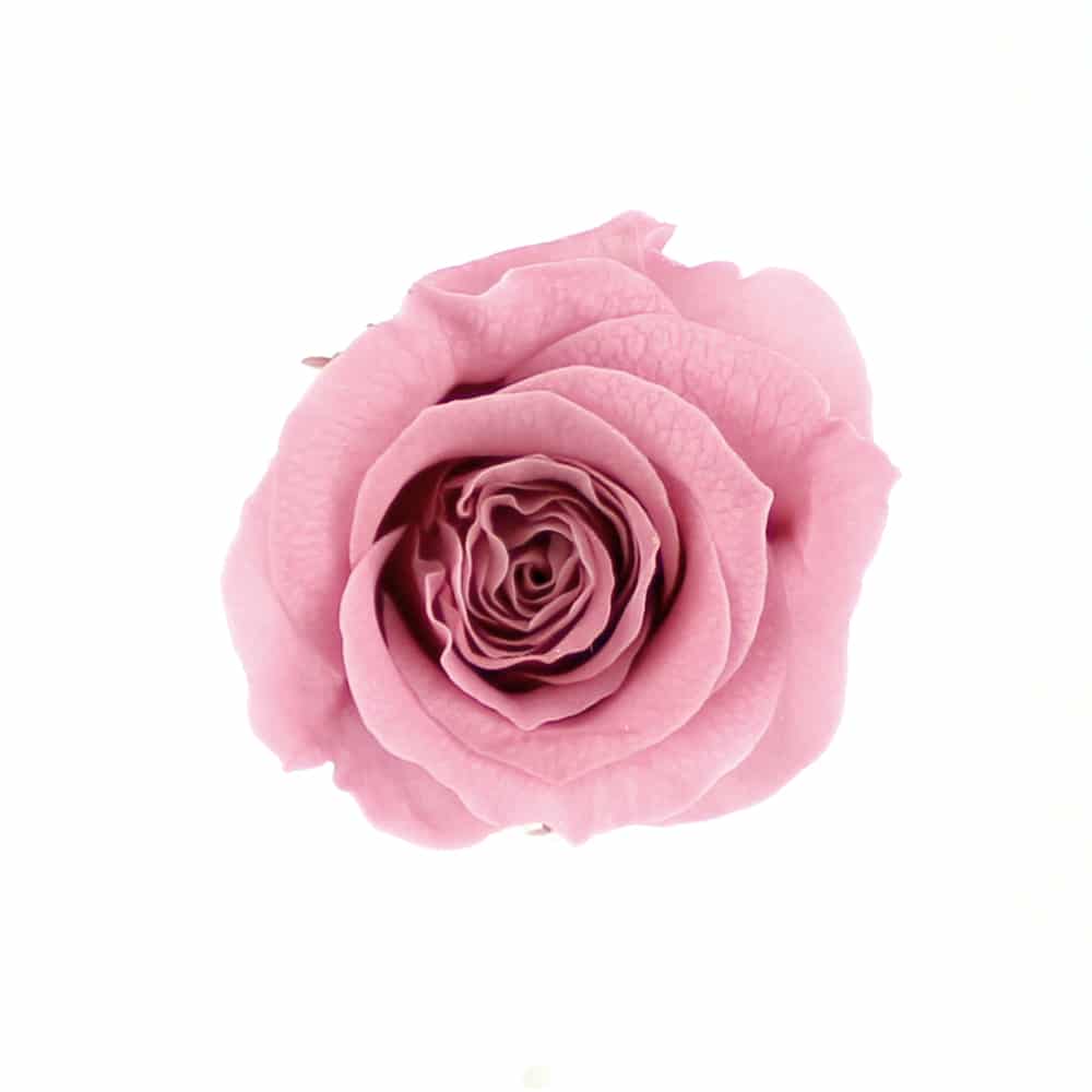 MINI ROSA PRESERVADA rosa nude oscuro