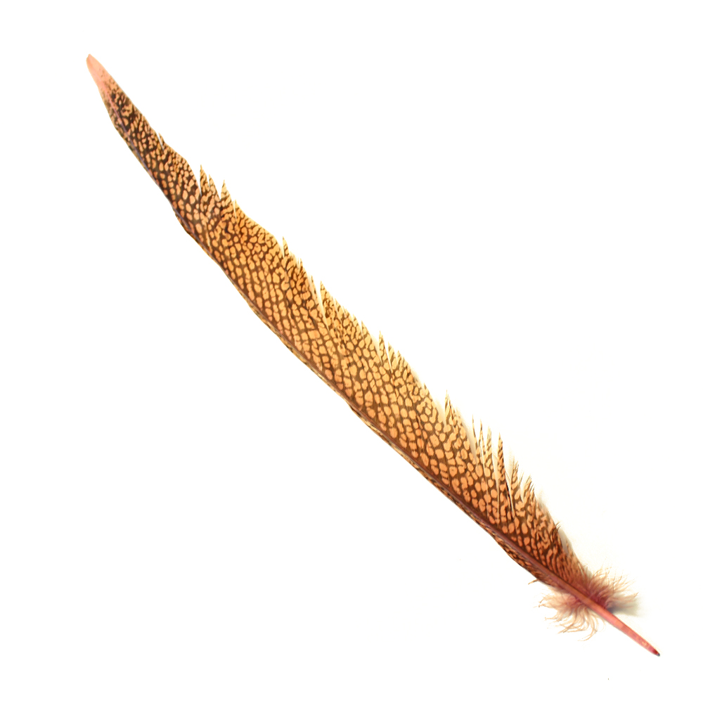pluma de cola de faisan dorado rosa nude